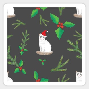 XMas Ragdoll Cats with Santa Hats - Winter Party Pattern Sticker